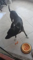 Mel