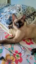 Nina