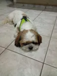 Nick