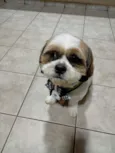 Nick