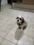 Nick
