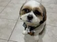 Nick