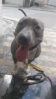 Vilao