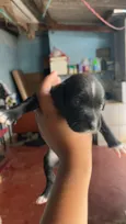 Ainda não tem nomes 