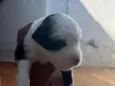Ainda não tem nomes 