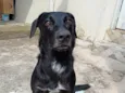 Zeca
