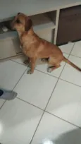 nala