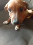 Darwin