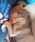 Darwin