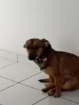 Lindinha