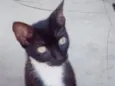 Luara