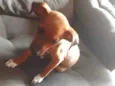 Darwin