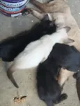 .