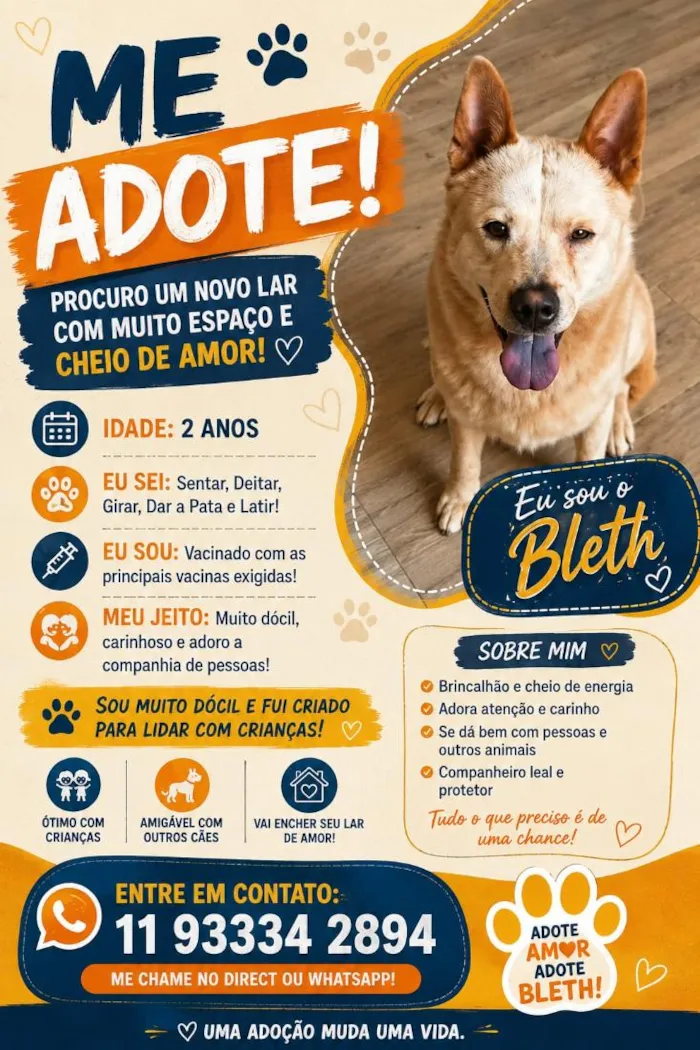 Cachorro raça SRD-ViraLata idade 2 anos nome Bleth