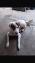 Beethoven