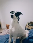 Maya e Mike
