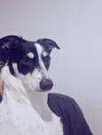 Maya e Mike
