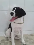 Belinha