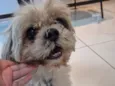 ??
