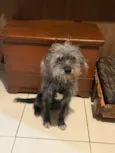 Fiona