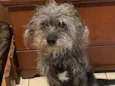 Fiona