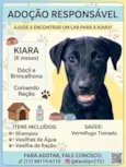 Kiara