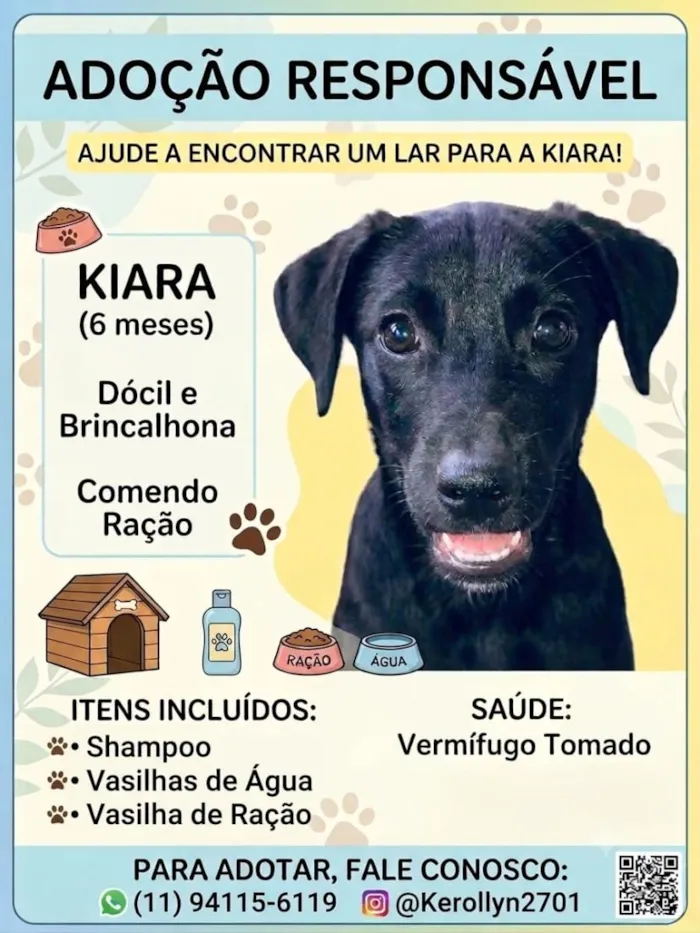 Cachorro raça SRD-ViraLata idade 2 a 6 meses nome Kiara