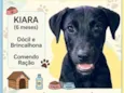 Kiara