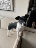 Julieta 