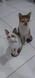 cookie e Luna 
