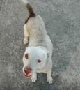 não tem