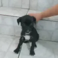 Vitória