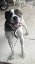Jack