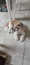 Billy