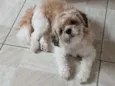 Billy