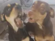 Thor e Loki