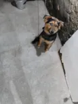 Kira 