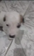 sem nome ainda