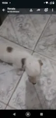 sem nome ainda