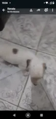 sem nome ainda