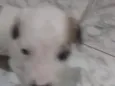sem nome ainda