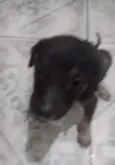 sem nome ainda