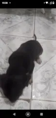 sem nome ainda