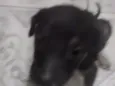 sem nome ainda