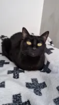 Isadora