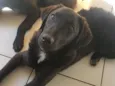João 