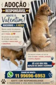 Valentim