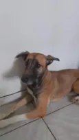 Mel