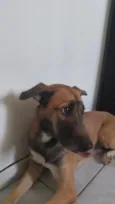 Mel