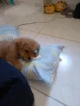 Julie
